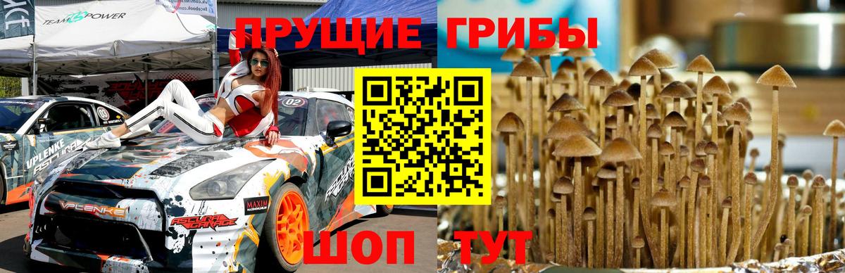 купить наркоту  Галлюциногенные грибы мухоморы  Полевской  Вход с VPN  Псилоцибиновые грибы ЛСД 