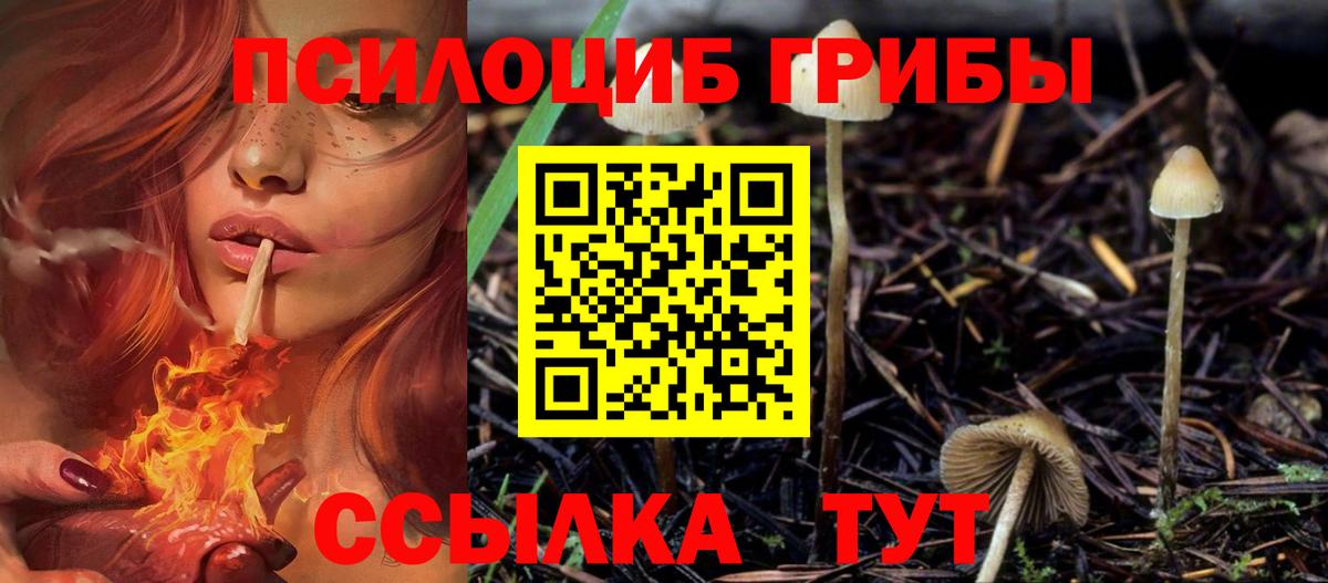 АМФЕТАМИН Полевской